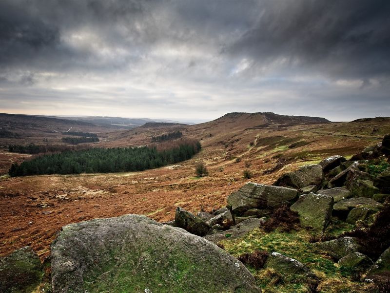 higger tor