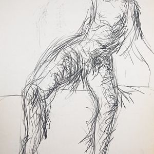 5q5a0009