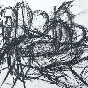 5q5a0062